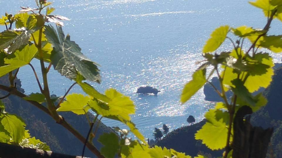 Casa Il Faro Villa Con Piscina カステルモーラ エクステリア 写真